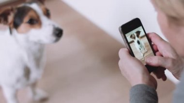 köpek kadın alarak resmi