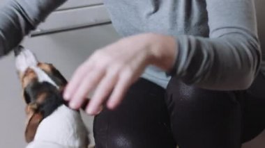 Köpekle oynamayı kişi