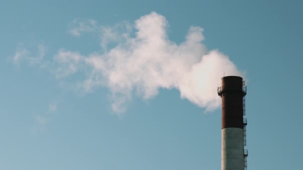 Tubo de planta con humo — Vídeo de stock