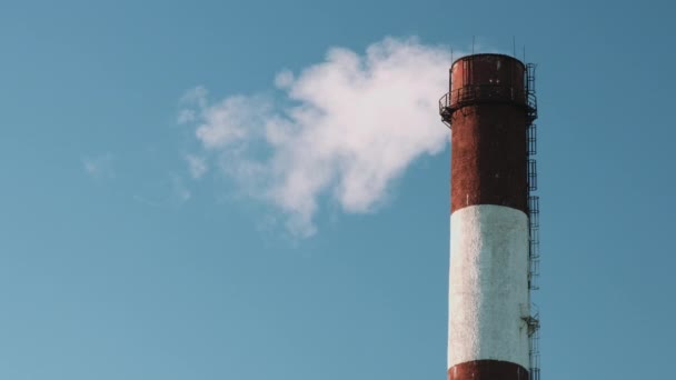 Tubo de planta con humo — Vídeos de Stock