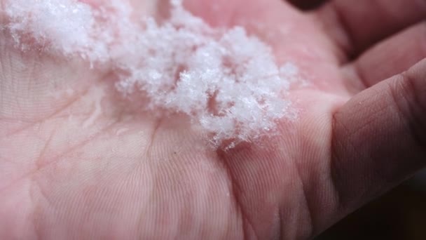 Neve lentamente derretida na palma da mão — Vídeo de Stock