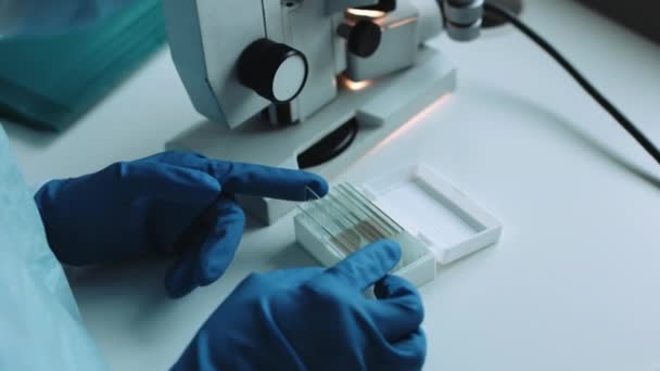 Ученый, работающий в лаборатории с образцами — стоковое видео