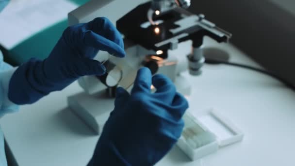 Scientist working in laboratory with samples — Stock Video