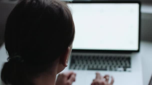 Back view of scientist working on laptop — Stock Video