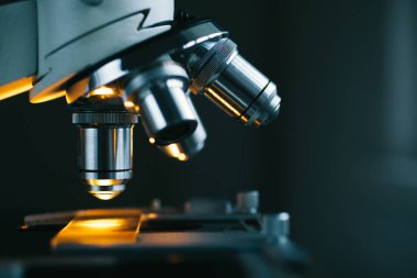 Mikroskop ve test örneği yakın çekim