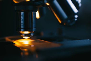 Mikroskop ve test örneği yakın çekim