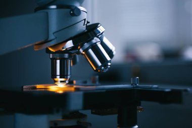Mikroskop ve test örneği yakın çekim