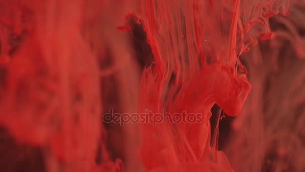 Red paint drops in the water — Stock Video