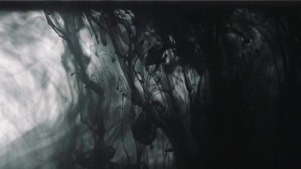 Pintura preta cai na água — Vídeo de Stock