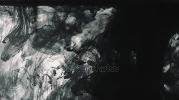 Schwarze Farbe fällt ins Wasser — Stockvideo