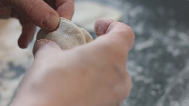 Twee handen vlees dumplings maken. — Stockvideo