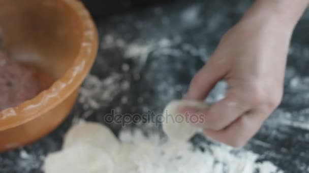 Twee handen vlees dumplings maken. — Stockvideo