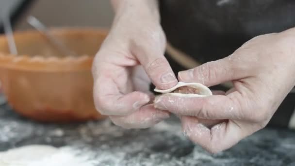 Twee handen vlees dumplings maken. — Stockvideo