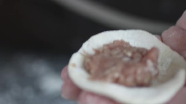 Δύο χέρια παρασκευή dumplings κρέας. — Αρχείο Βίντεο