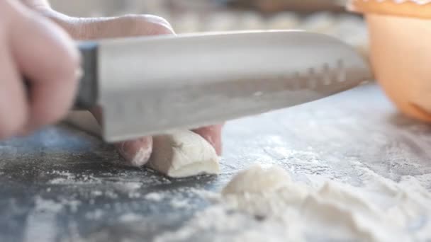 Две руки делают тесто для мясных пельменей . — стоковое видео
