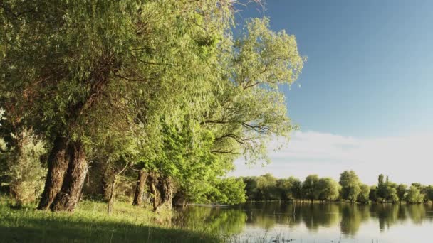 Вид на спокойную речную воду — стоковое видео