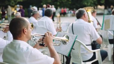 Millet oyun müzik aletleri parkta orkestrada yaz gününde