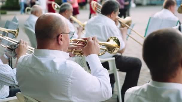 Gli uomini suonano strumenti musicali nell'orchestra nel parco durante la giornata estiva — Video Stock