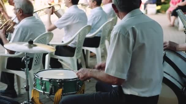 Les hommes jouent des instruments de musique dans l'orchestre dans le parc le jour de l'été — Video