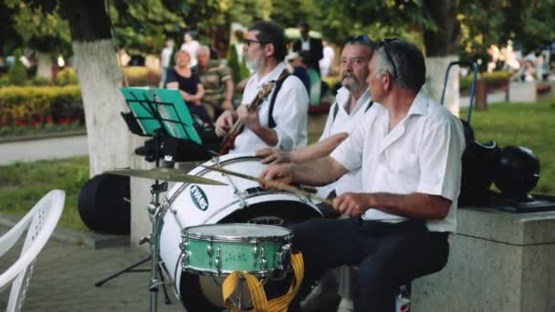 Άνδρες παίζουν μουσικά όργανα στην ορχήστρα στο πάρκο θερινή ημέρα — Αρχείο Βίντεο