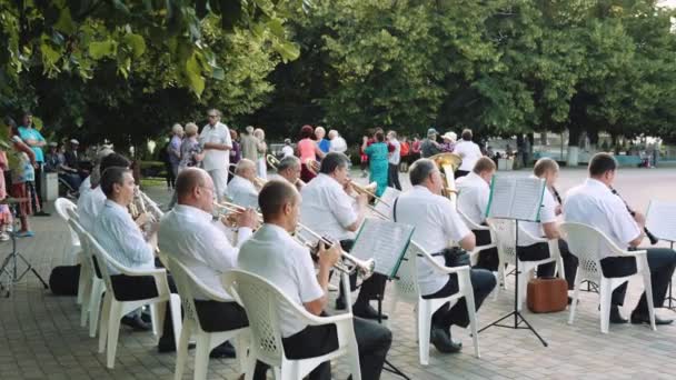 Gli uomini suonano strumenti musicali nell'orchestra nel parco durante la giornata estiva — Video Stock