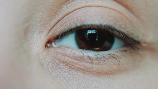 Bruine ogen vrouwen kijken naar de camera — Stockvideo