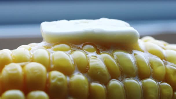 Mazorca caliente de maíz hervido con mantequilla . — Vídeos de Stock
