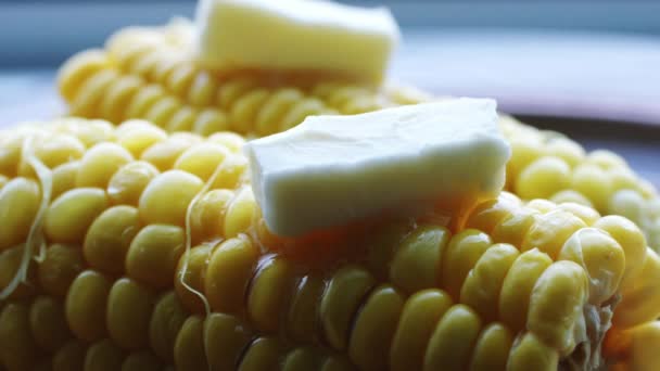 Costela quente de milho cozido com manteiga . — Vídeo de Stock