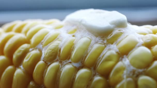 Mazorca caliente de maíz hervido con mantequilla . — Vídeo de stock