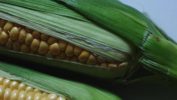 COB van jonge maïs in groene bladeren gewikkeld. — Stockvideo