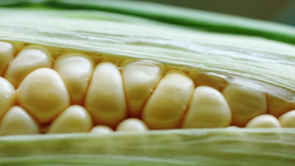 Mazorca de maíz joven envuelta en hojas verdes . — Vídeo de stock