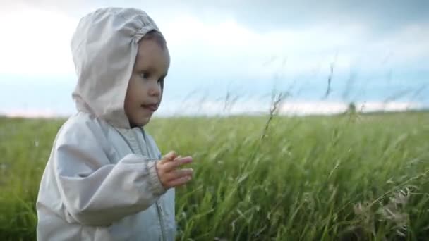 Bambino piccolo che gioca con l'erba nel campo . — Video Stock
