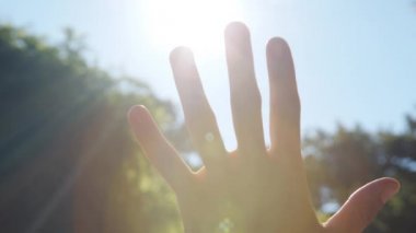 Palm güneş ışığı kapatır.