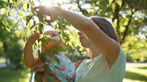 Felice madre e bambino si divertono — Video Stock