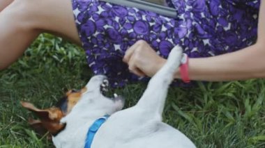 kadın ile köpek çim üzerinde oynama