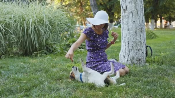 Femme jouant avec chien sur herbe — Video