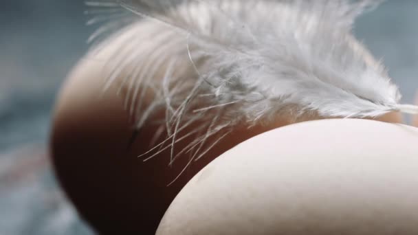 Куриные яйца свежие, домашние и ручка — стоковое видео