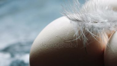 Tavuk yumurta taze, ev yapımı ve kalem