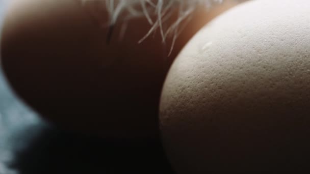 Los huevos de pollo son frescos, caseros y de pluma — Vídeo de stock