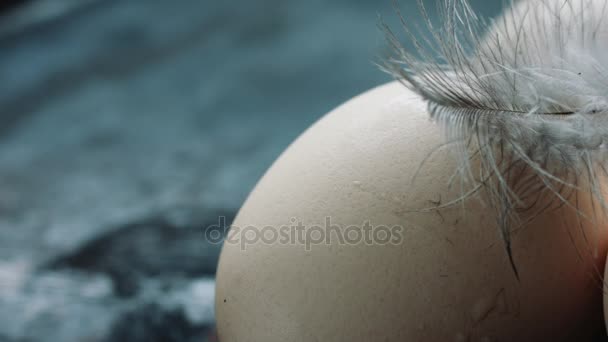 鶏の卵は、新鮮な自家製とペン — ストック動画