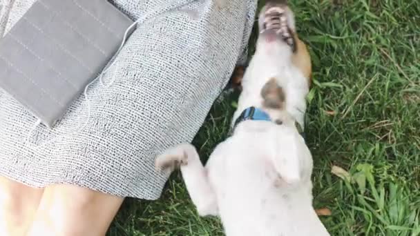 Женщина играет с собакой на траве — стоковое видео