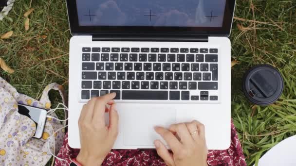 Vrouw die op gras met laptop werkt. — Stockvideo