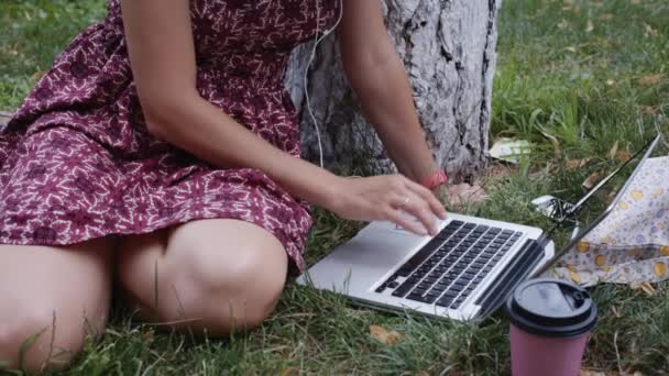 Dizüstü bilgisayar ile çimenlerin üzerinde çalışan kadın. — Stok video
