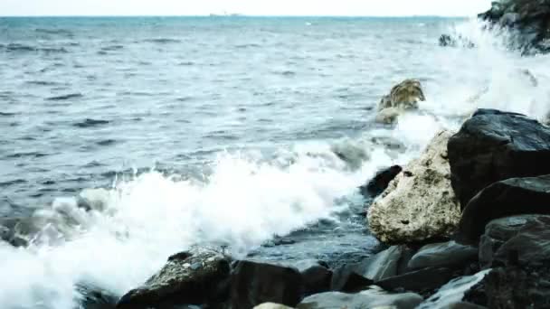 Vågorna slår mot klipporna på stranden — Stockvideo
