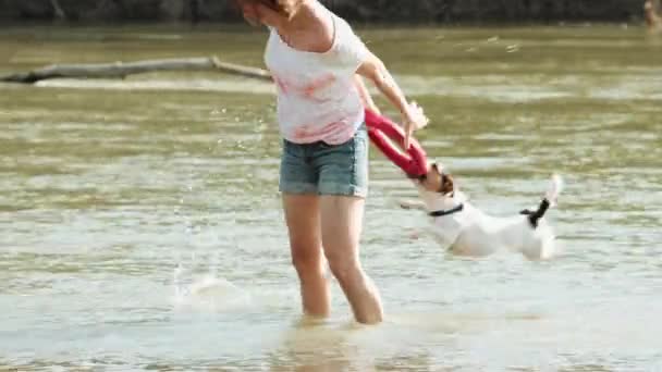 Женщина играет с собакой у реки — стоковое видео