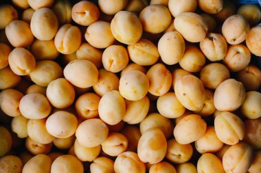 Yığın halinde yalan olgun kayısı