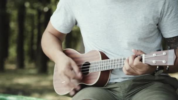 Persona tocando en la pequeña guitarra ukelele — Vídeo de stock