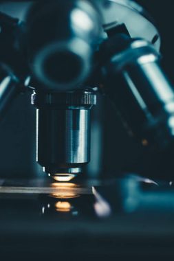 Yakın çekim shot mikroskop