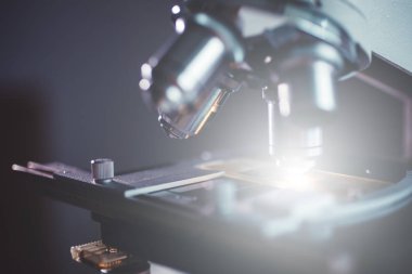 Yakın çekim shot mikroskop