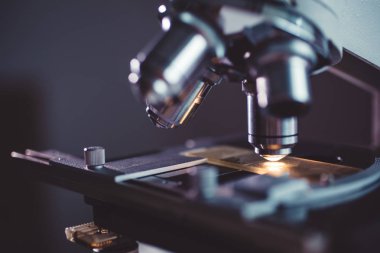 Yakın çekim shot mikroskop